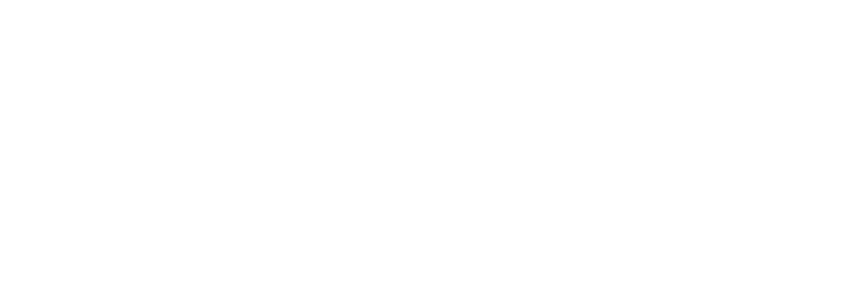 Net Primates Logo